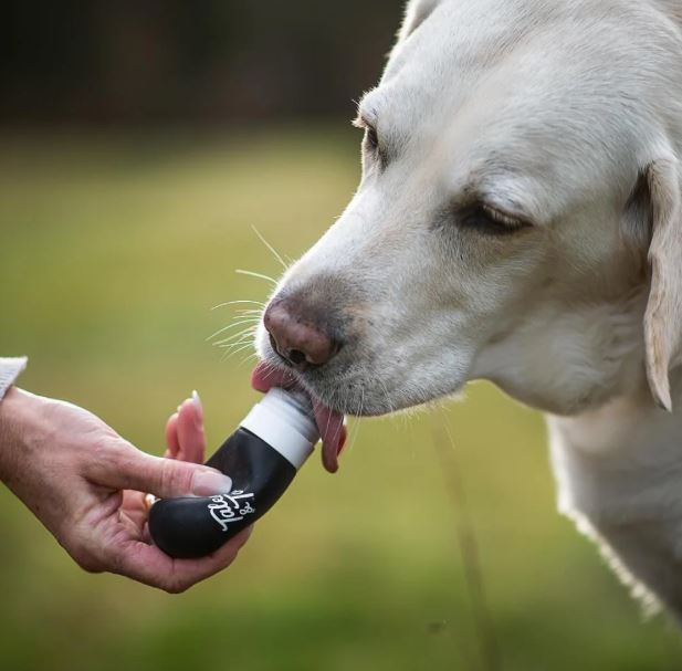 Tales&Tailes Futtertube, 80ml