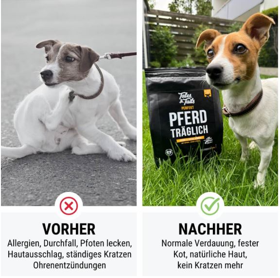 Tales&Tails "Perfekt Pferdträglich" 4kg