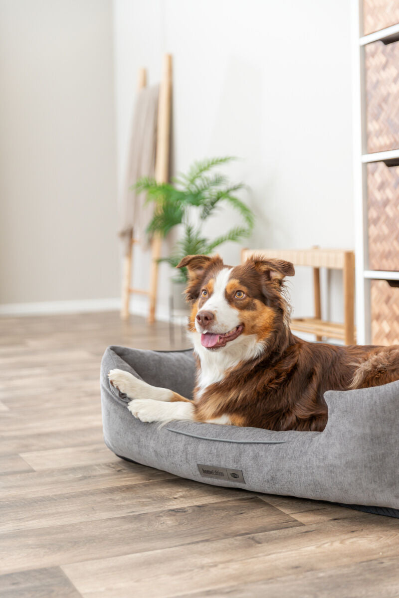 Trixie Vital Bett Lennox