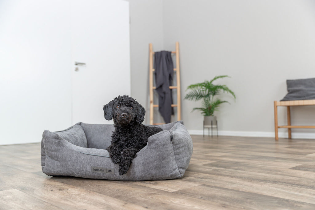 Trixie Vital Bett Lennox