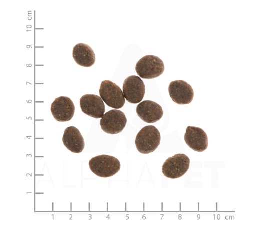 Wildes Land Classic Adult Lamm mit Reis und Wildkräutern