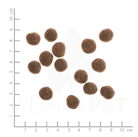 Wildes Land Classic Adult Ente mit Kartoffeln und Wildkräutern