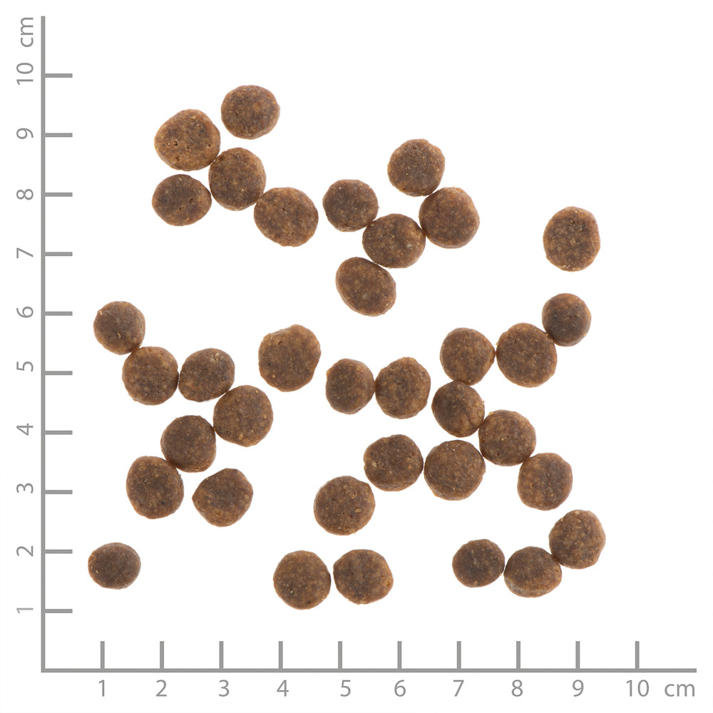 Wildes Land Classic Puppy Ente & Huhn mit Kartoffel