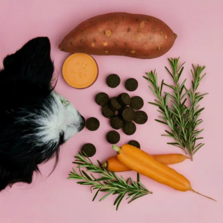 Tierliebhaber Analdrüsen Drops, 350g