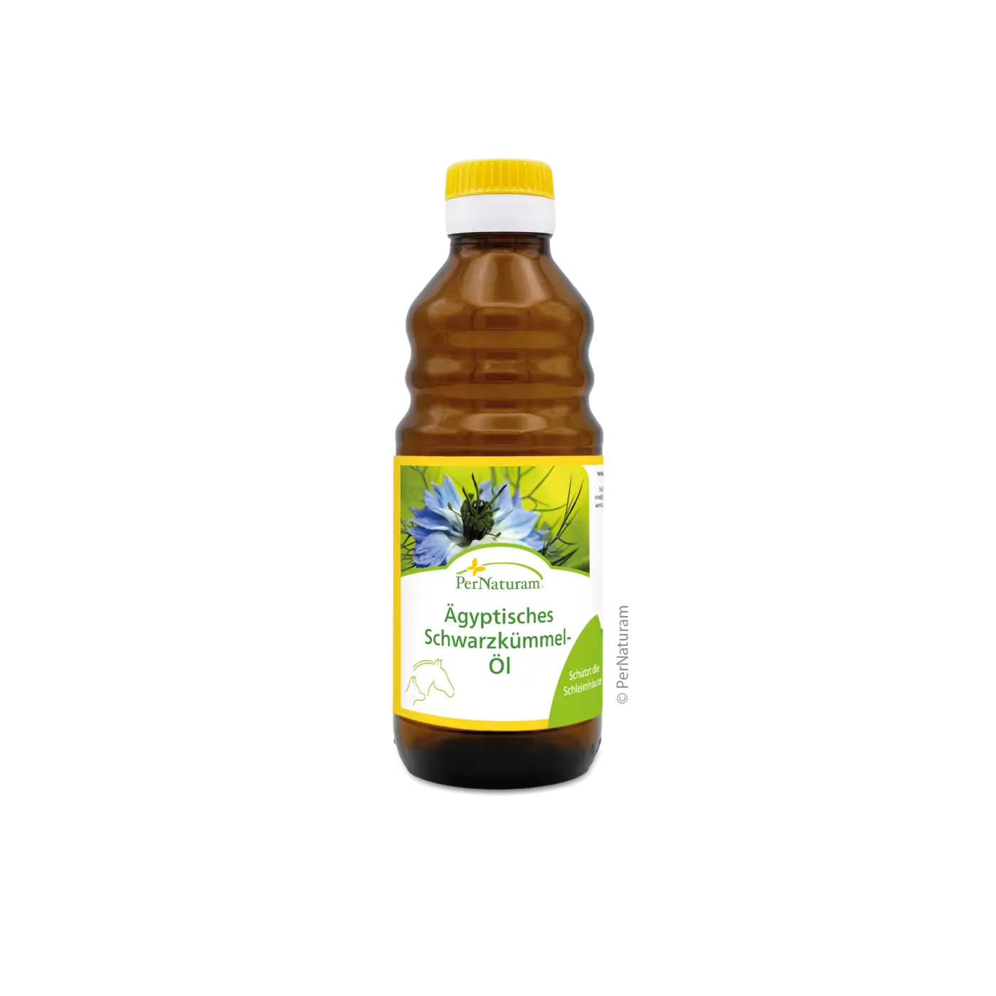 PerNaturam Ägyptisches Schwarzkümmel-Öl ( 250 ml )