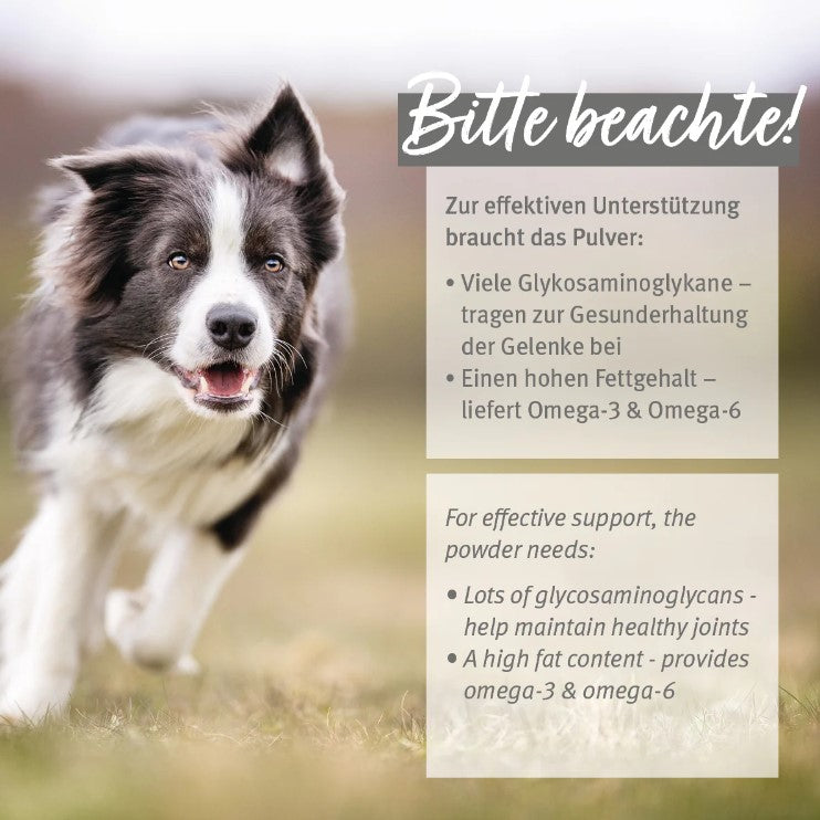 AniForte® Grünlippmuschelpulver 100g