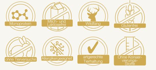 Bio Poulet mit Quinoa und Mango