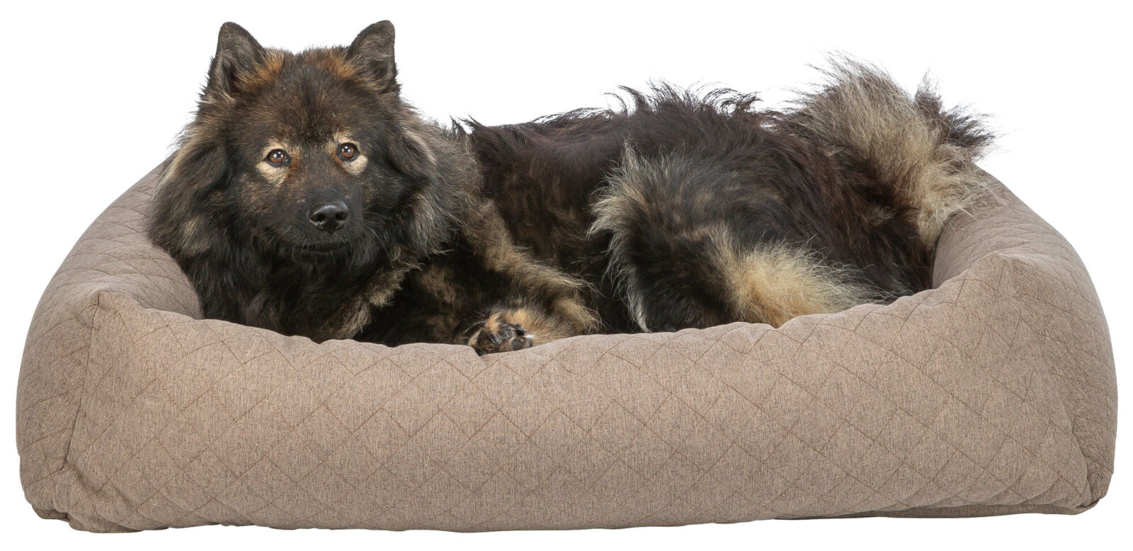 Trixie Bett Caliente