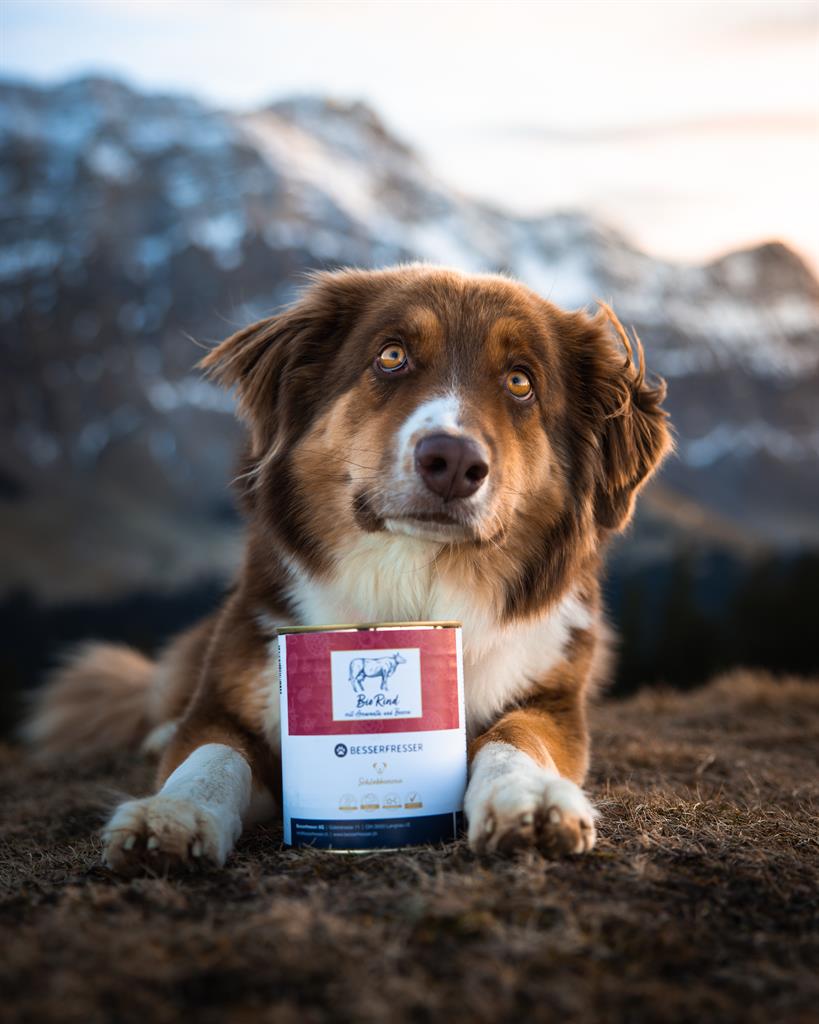 Bio Rind mit Amaranth und Beeren