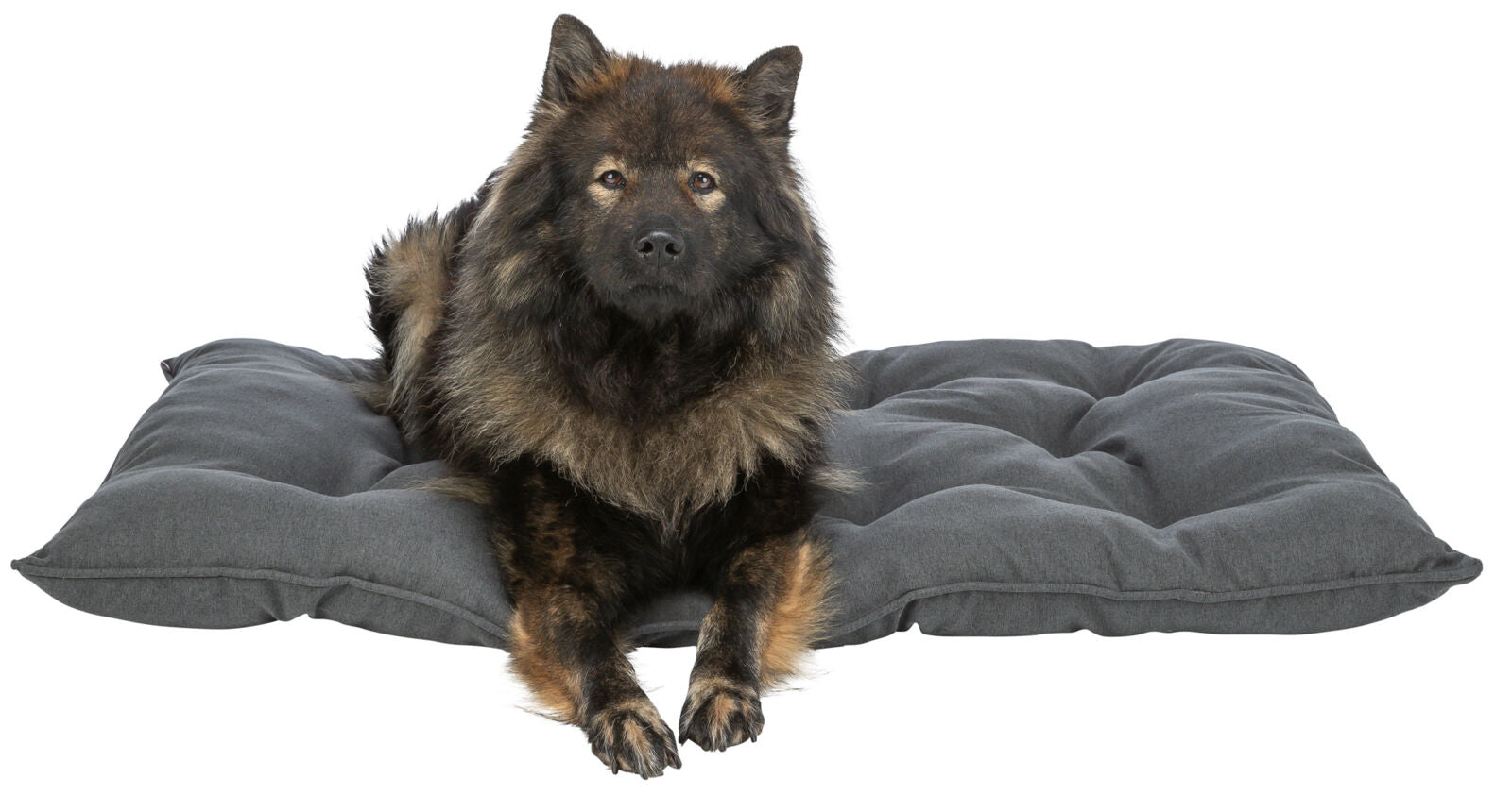 Trixie Kissen Caliente