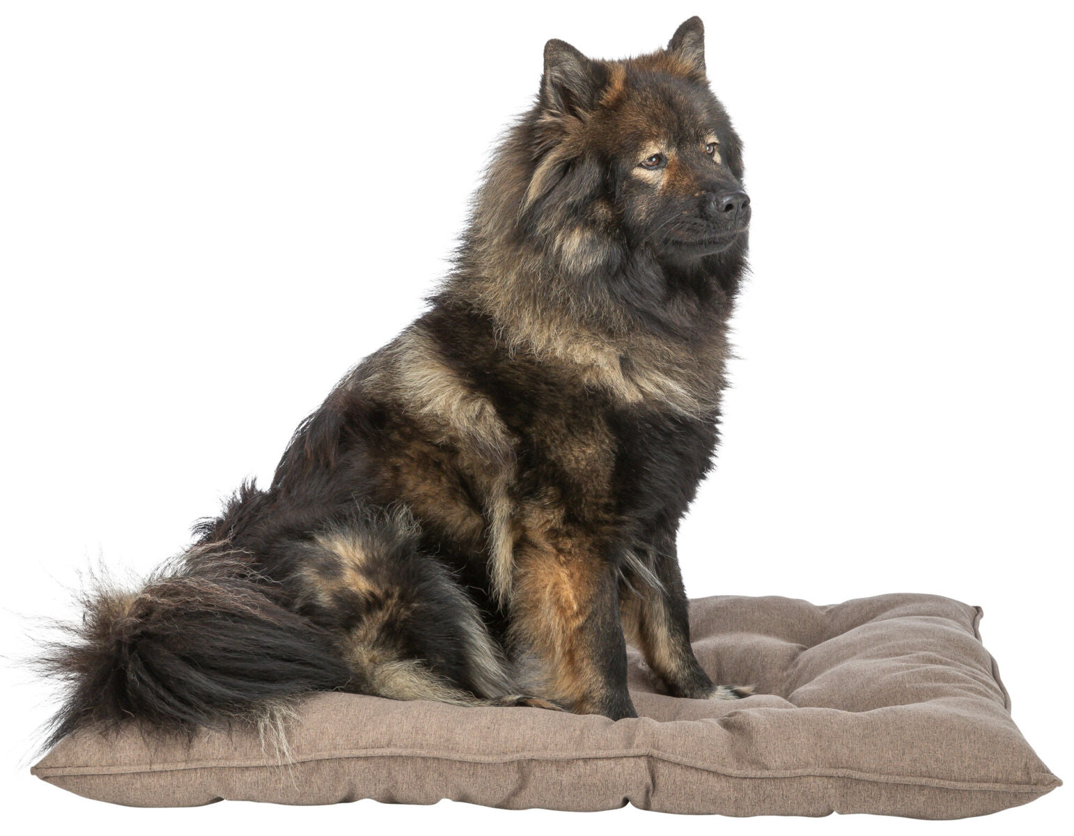 Trixie Kissen Caliente