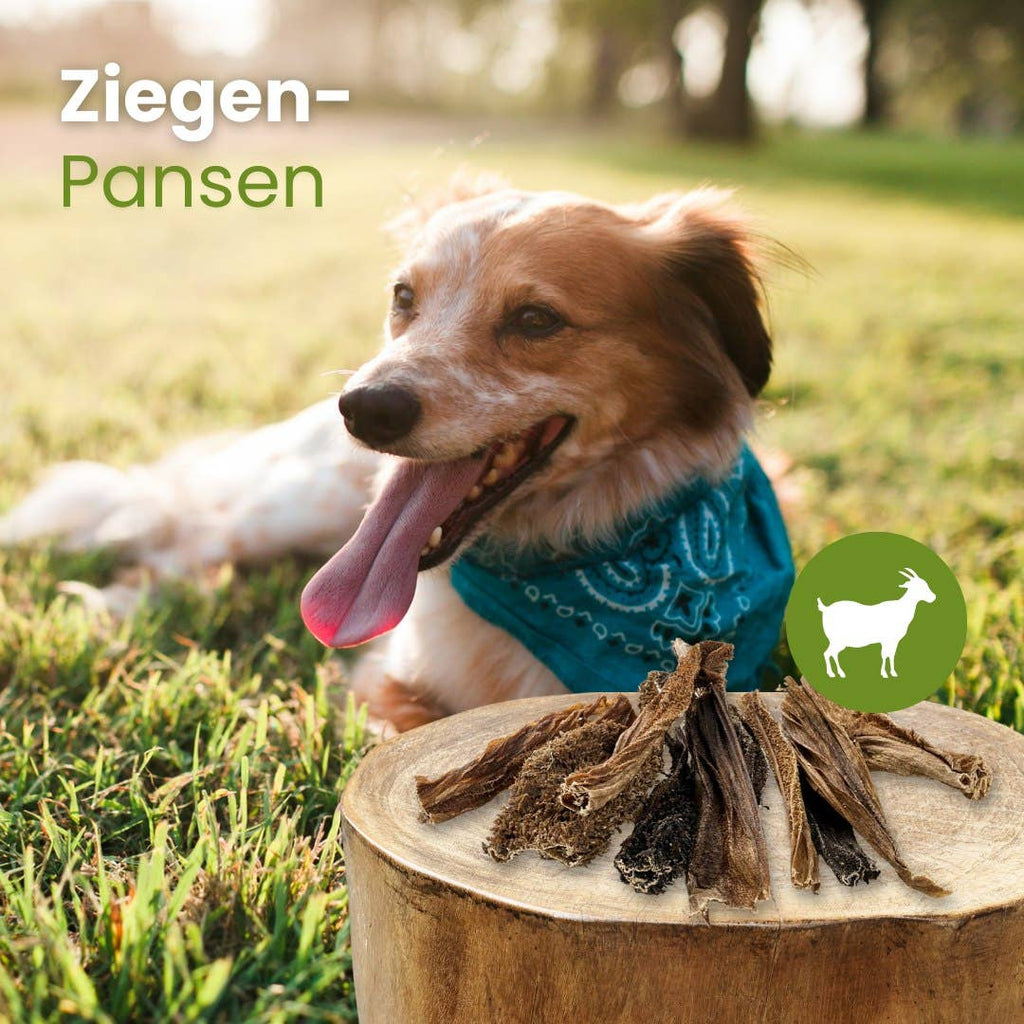 Ziegen Pansen
