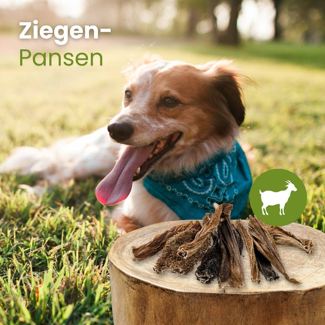Ziegen Pansen