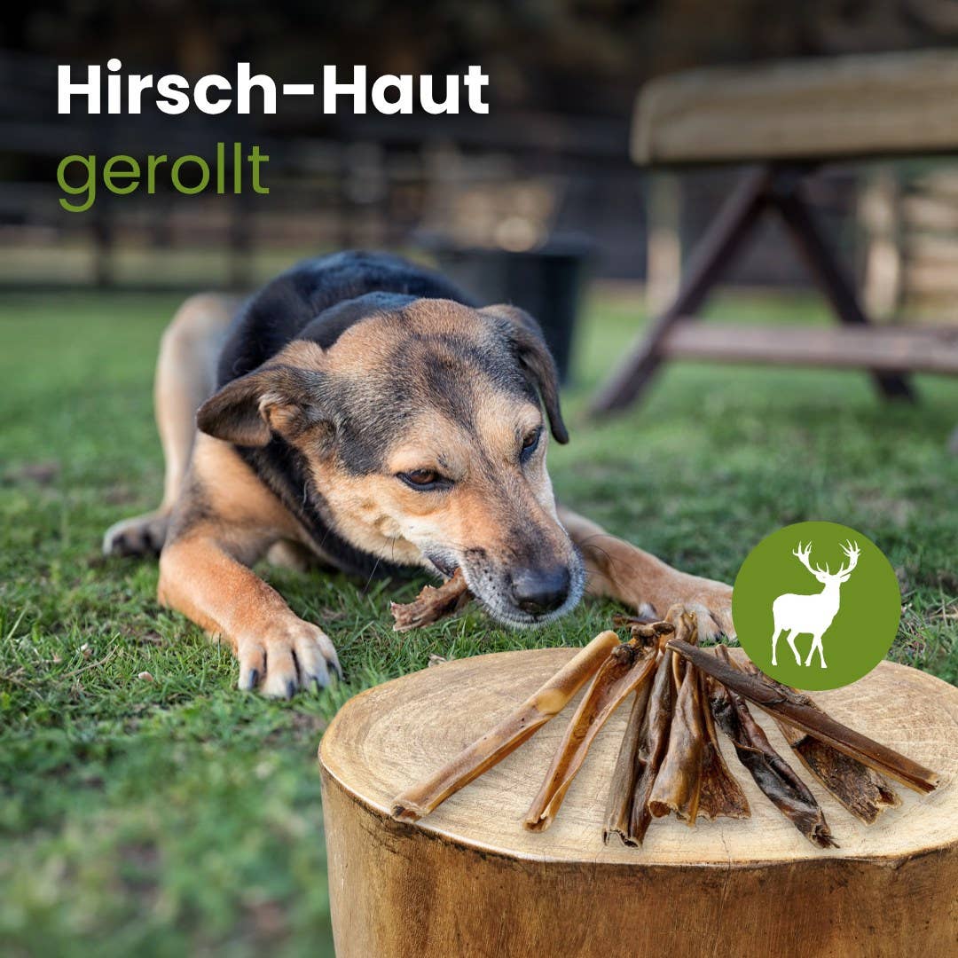 Hirsch-Haut, gerollt