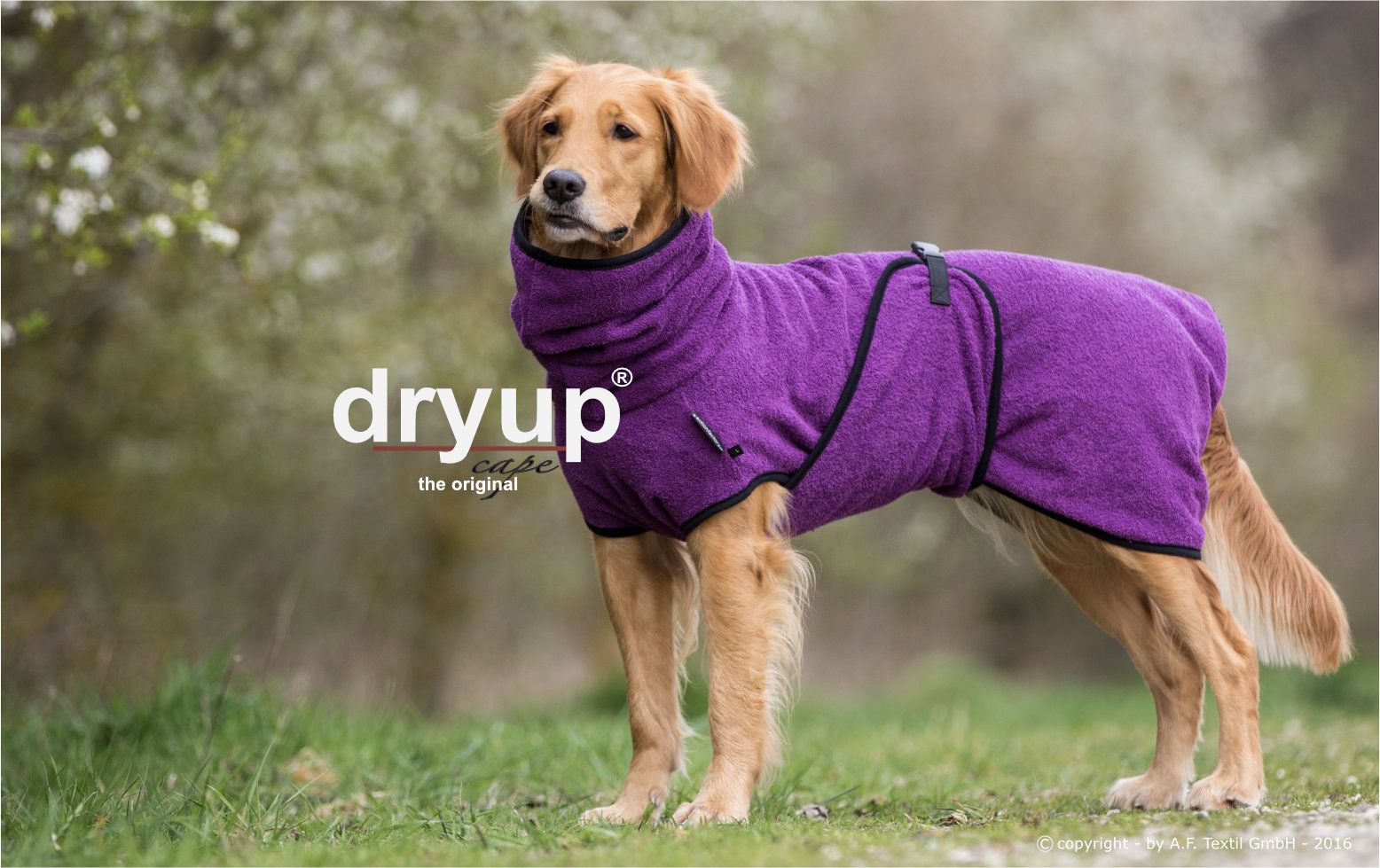 Hundebademantel - Dryup® cape (48-74cm Rückenlänge)