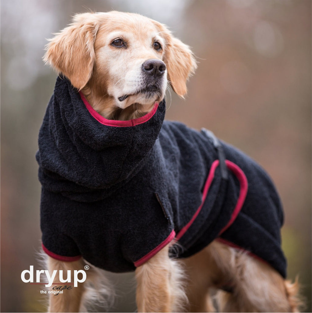 Hundebademantel - Dryup® cape (48-74cm Rückenlänge)