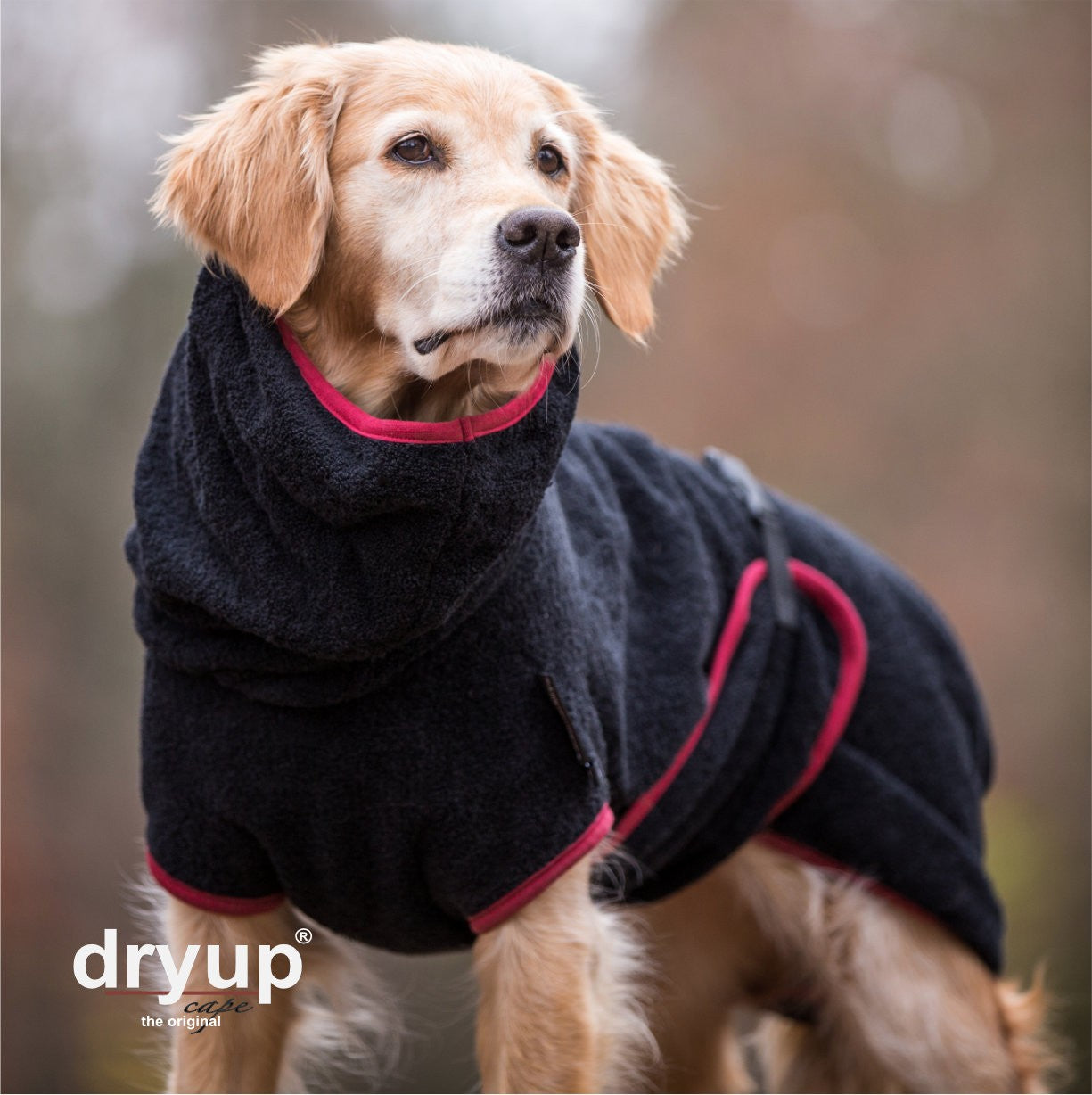 Hundebademantel - Dryup® cape (48-74cm Rückenlänge)