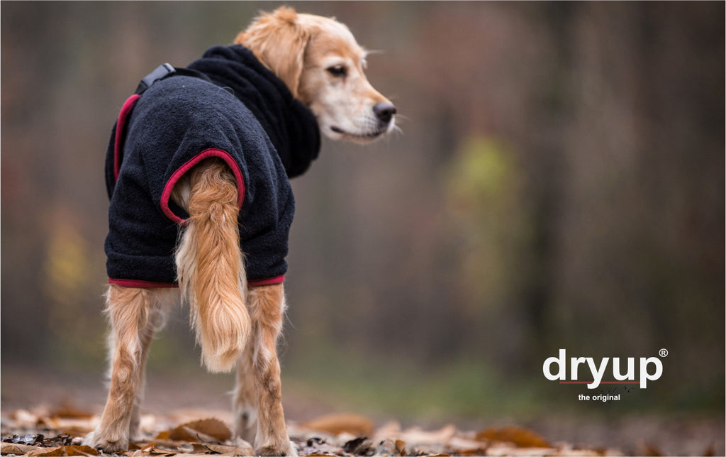 Hundebademantel - Dryup® cape (48-74cm Rückenlänge)
