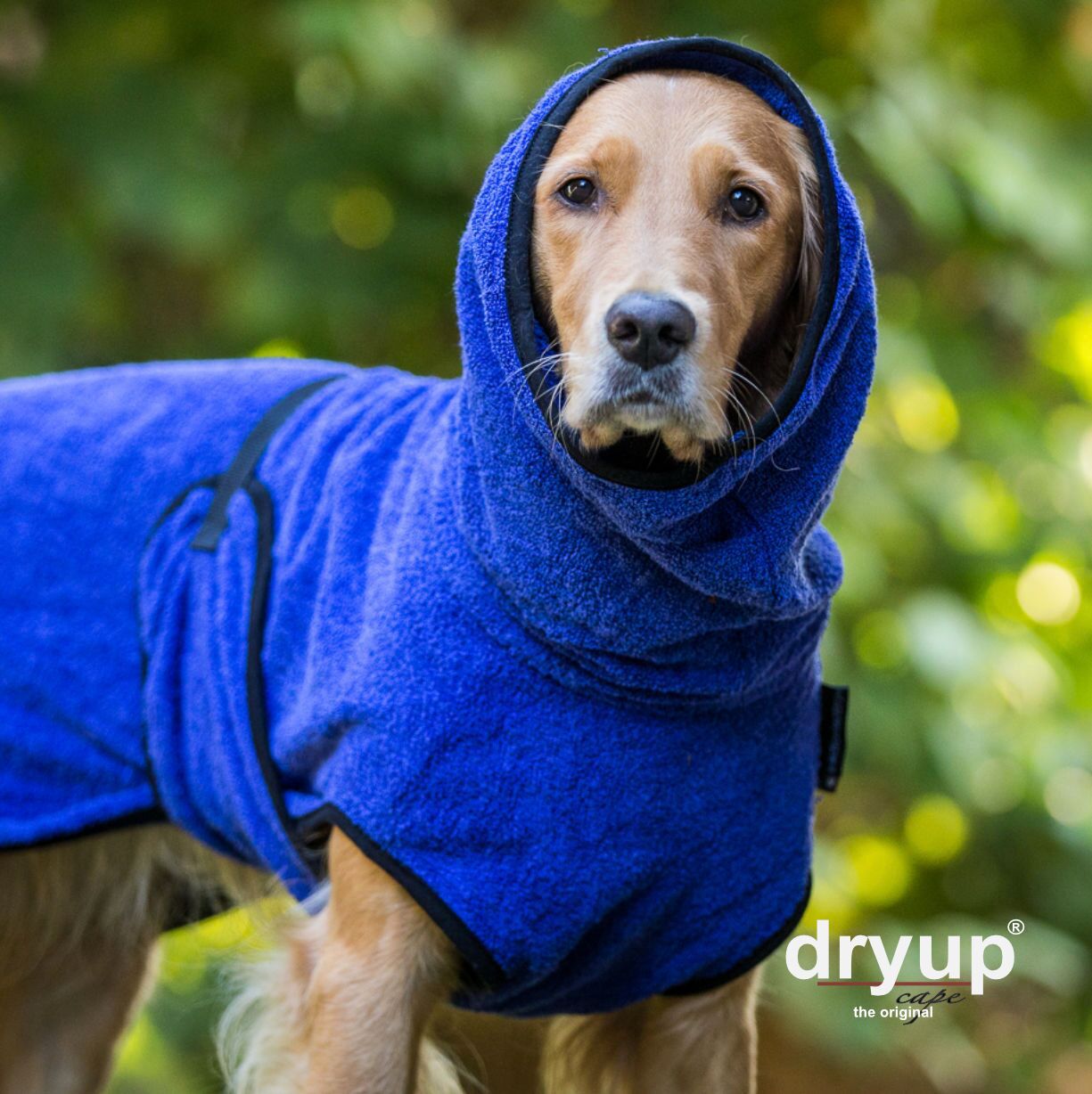 Hundebademantel - Dryup® cape (48-74cm Rückenlänge)