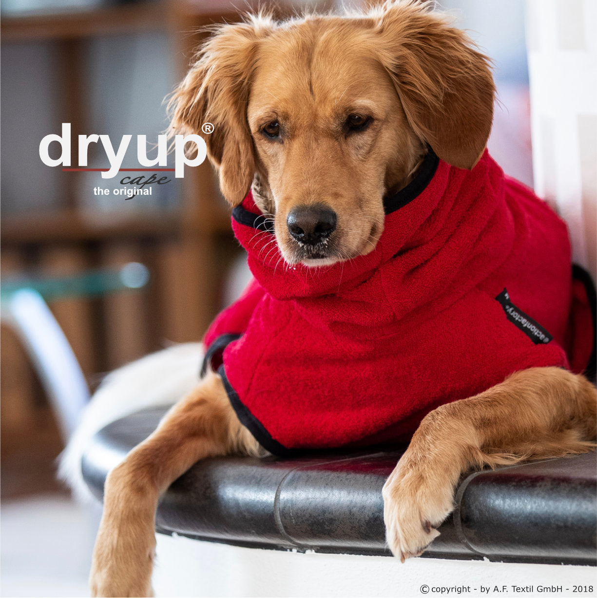Hundebademantel - Dryup® cape (48-74cm Rückenlänge)