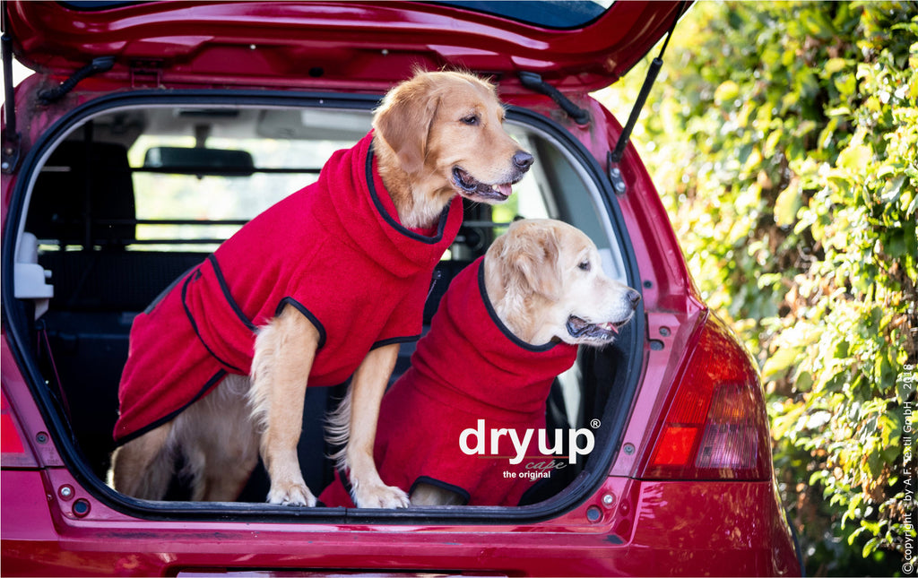 Hundebademantel - Dryup® cape (48-74cm Rückenlänge)