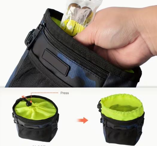 Goodie-Bag Waldseemüller