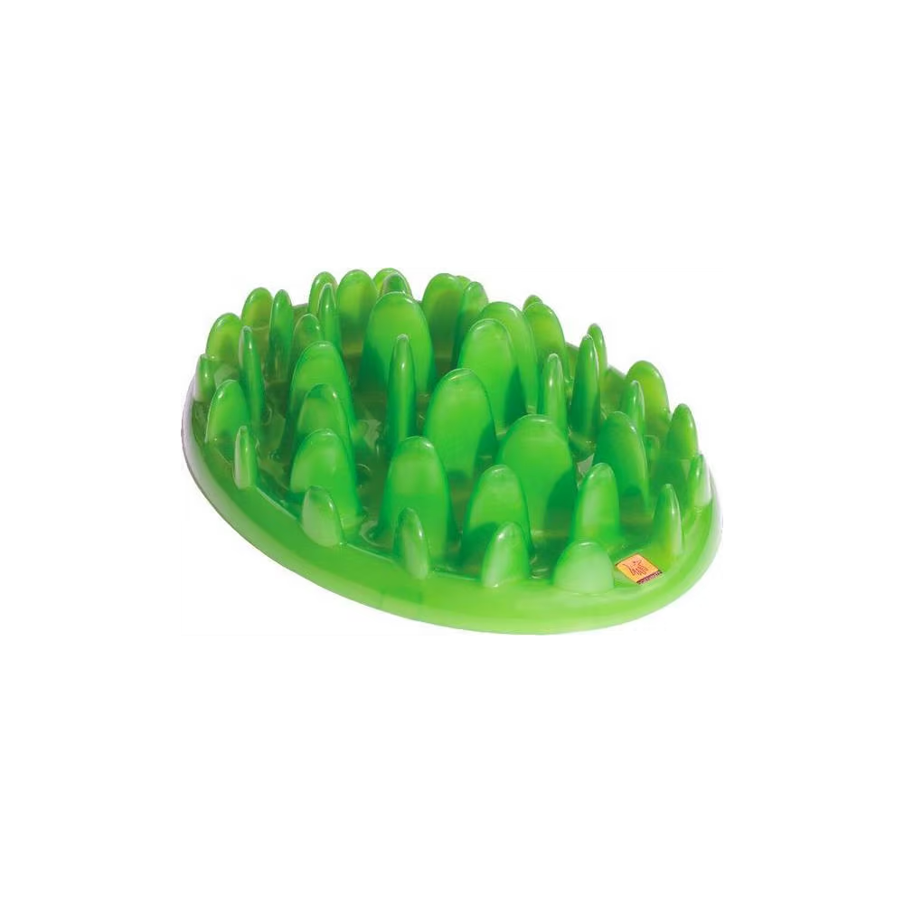 Green Slow Feeder