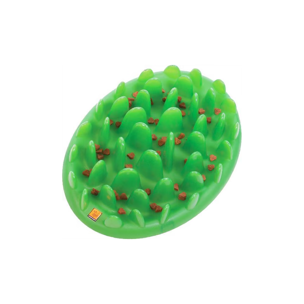 Green Slow Feeder