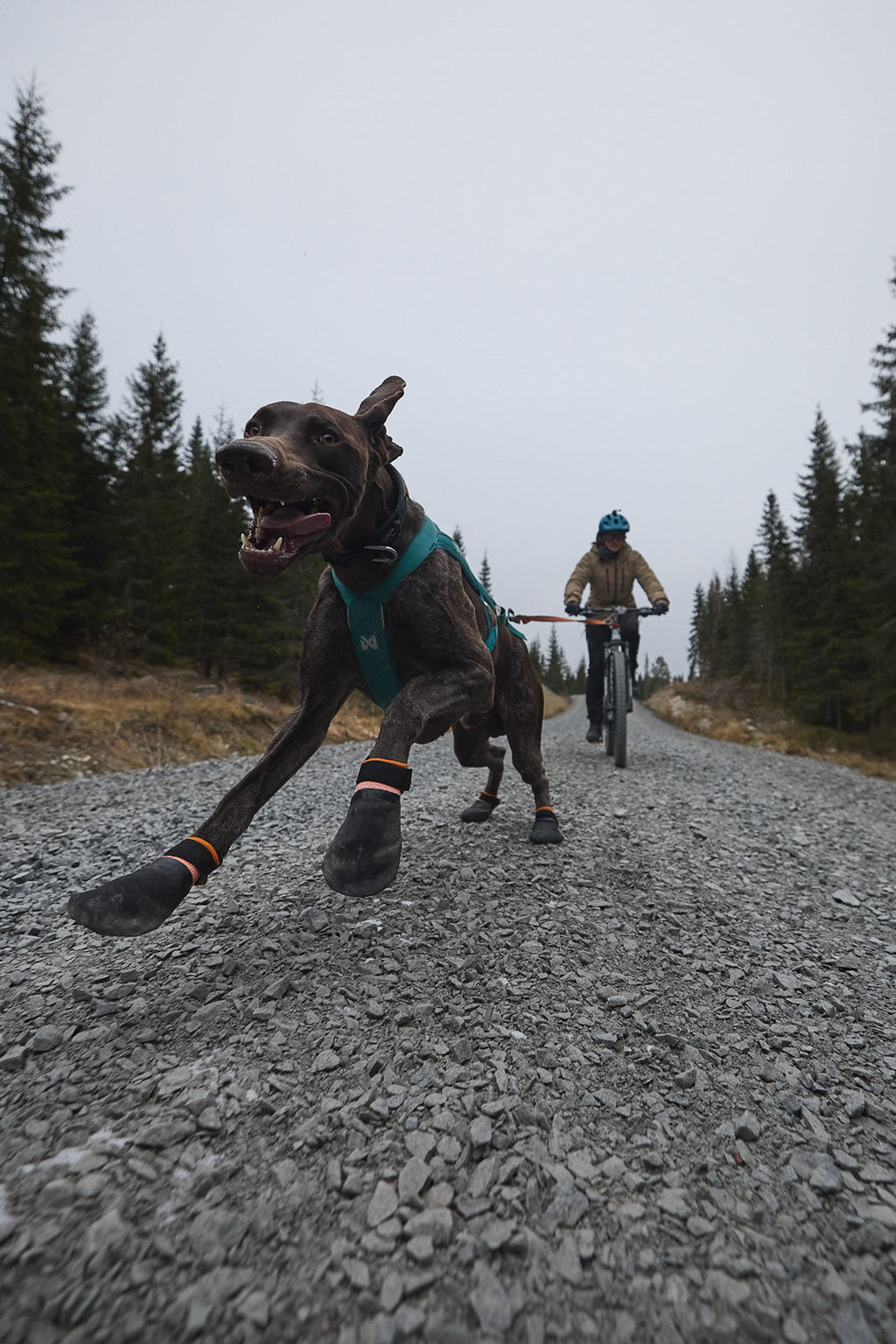 Non-stop dogwear Protector bootie