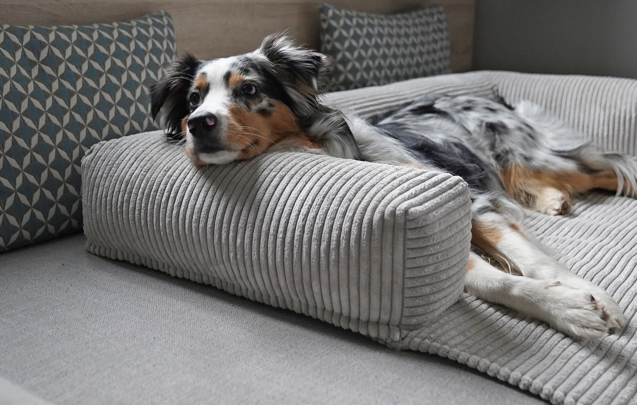 Mypado® Sofaschutz Dakota Cord