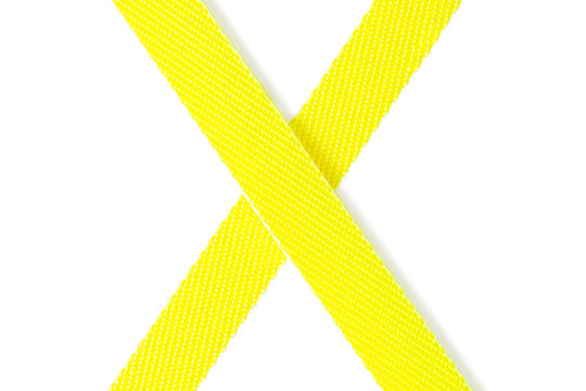 Flexi Giant Professional, Gurt-Rollleine 10m