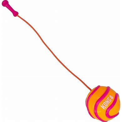 KONG Bunji High-Viz Ball