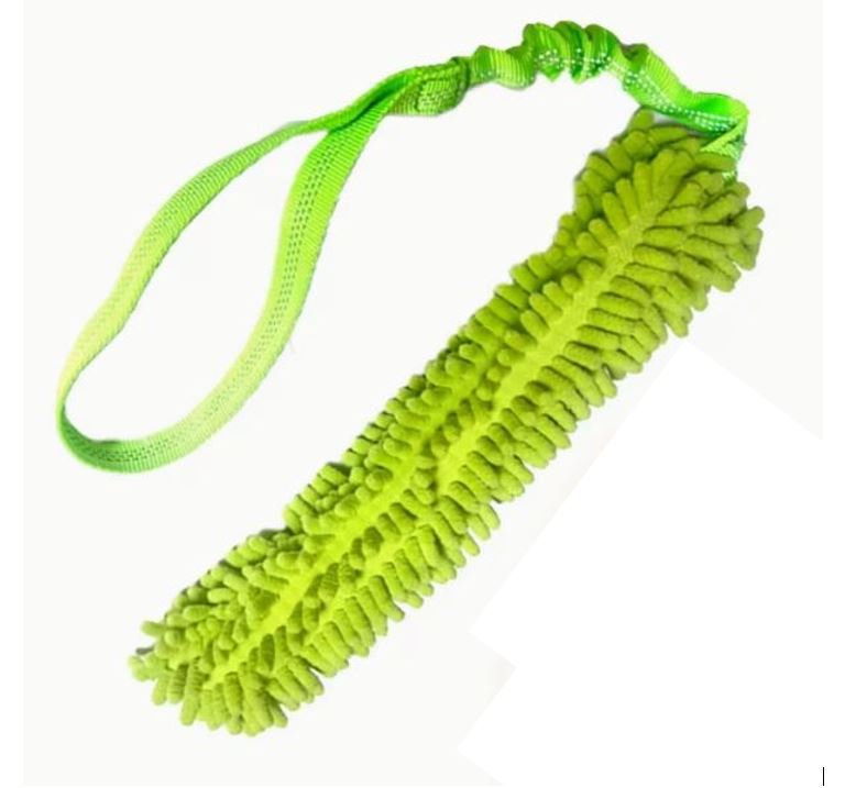 Zergel mit Bungee-Seil