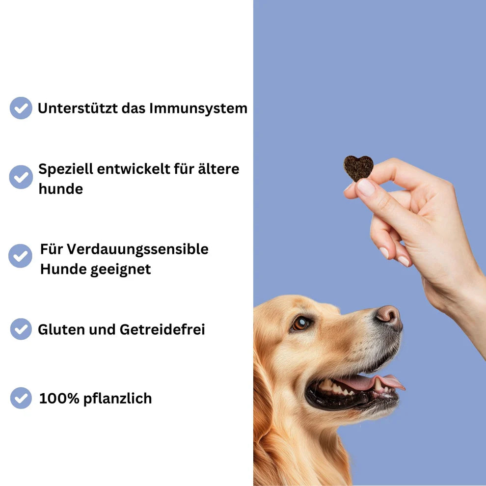 Snoggos Oldie but Goldie