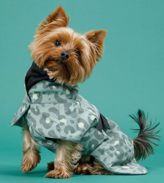 PAIKKA Visibility Winter Jacket Green Leo