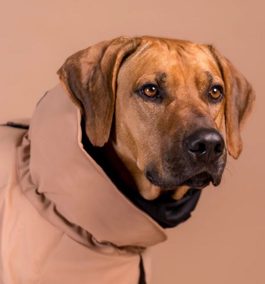 PAIKKA Visibility Winter Jacket Wool Taupe