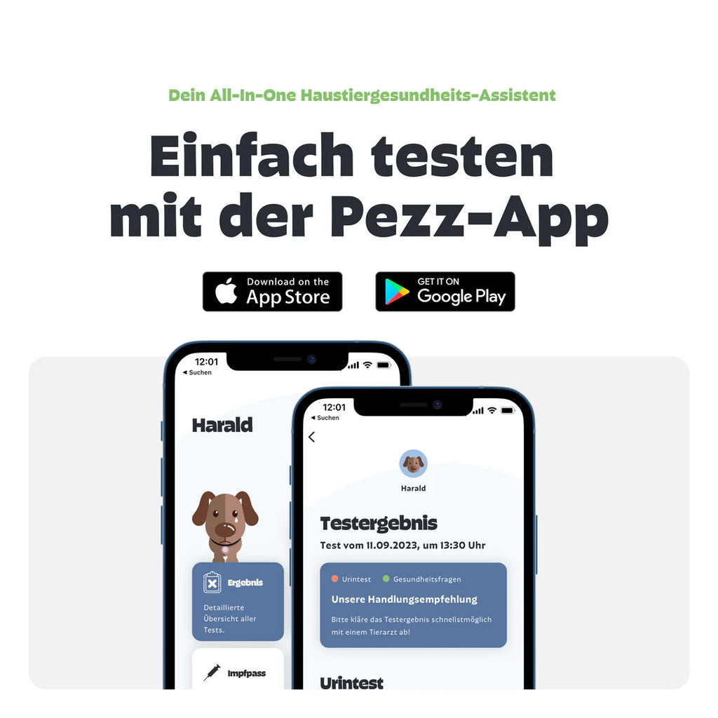 Pezz Urin-Test für Hunde