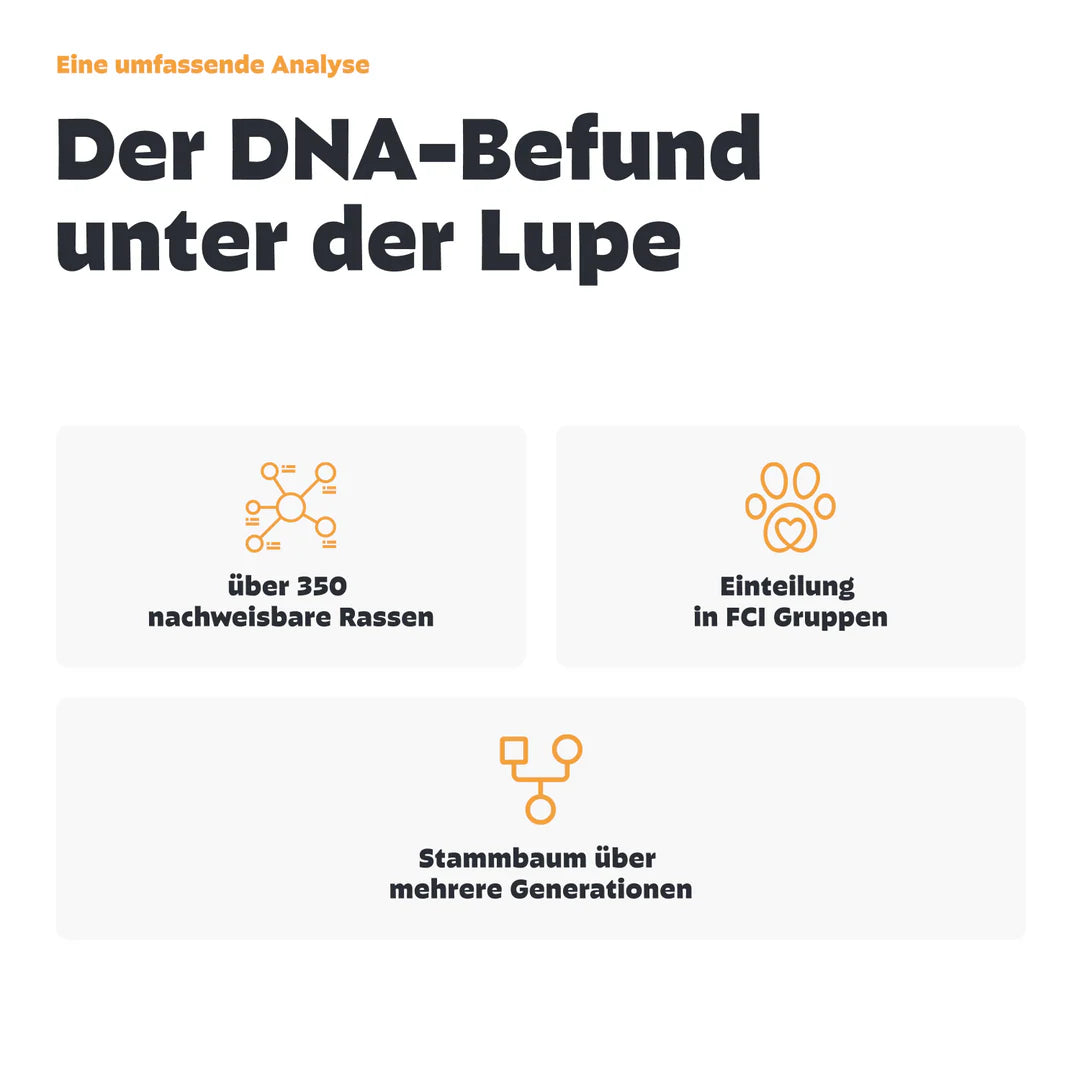 Pezz Rassebestimmung DNA-Test