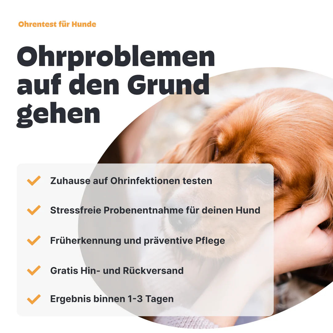 Pezz Ohren-Tests für Hunde und Katzen