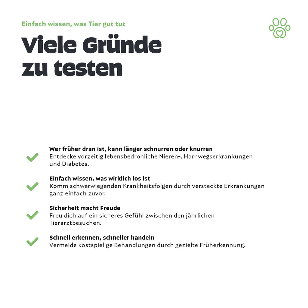 Pezz Urin-Test für Hunde