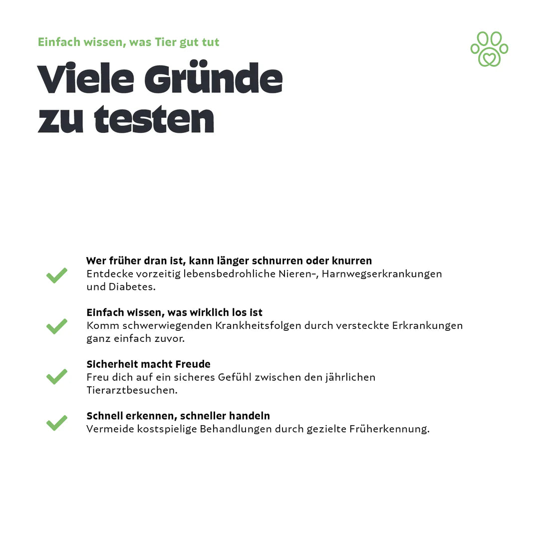 Pezz Urin-Test für Hunde