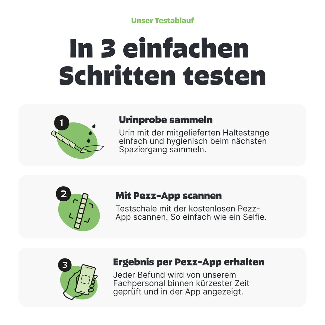 Pezz Urin-Test für Hunde