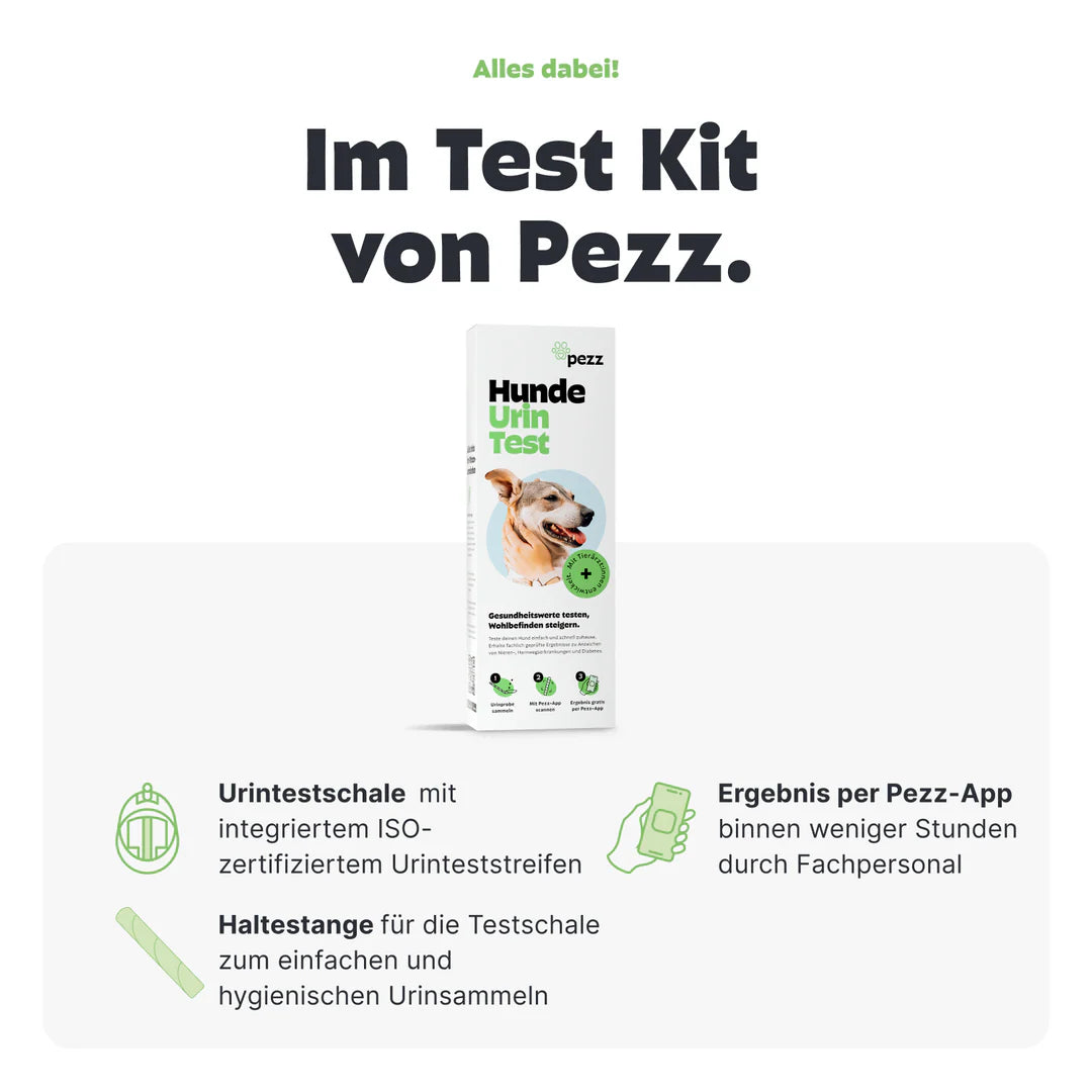Pezz Urin-Test für Hunde