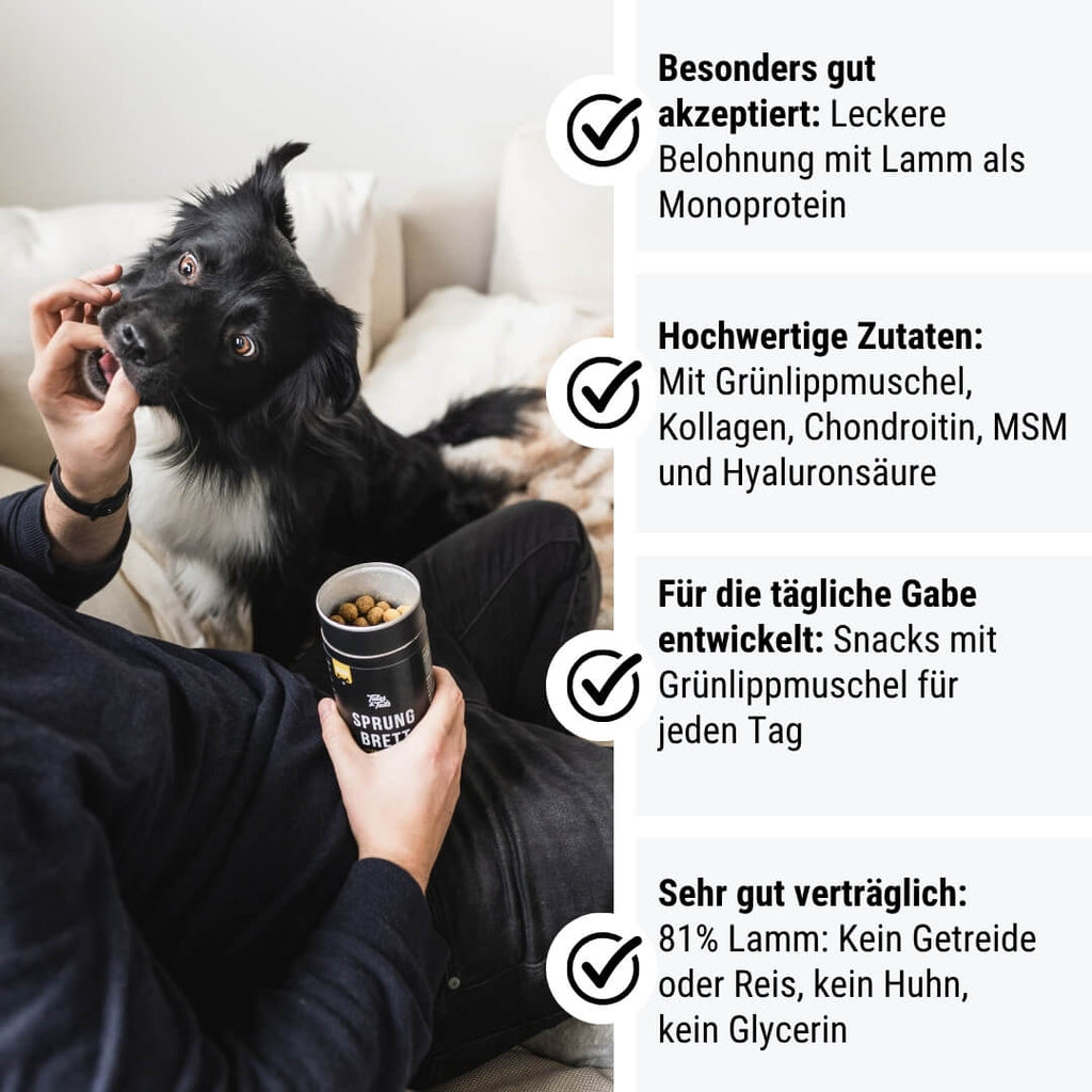 Tales&Tails Nr. 2 Sprungbrett