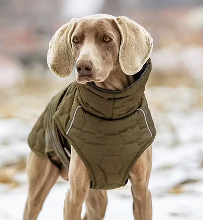 Steppjacke mit Klettverschluss