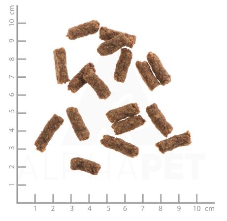 Wildes Land Trainingssticks Ente 70g