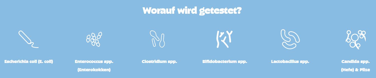 Pezz Hunde Darmfloratest