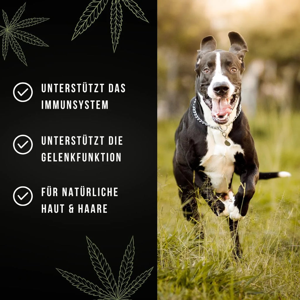 Tales & Tails - Für höchste Hanforderungen 250ml