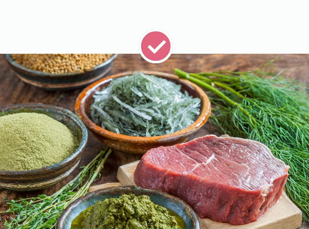 Tales&Tails Nr. 1 Bauchpinsler