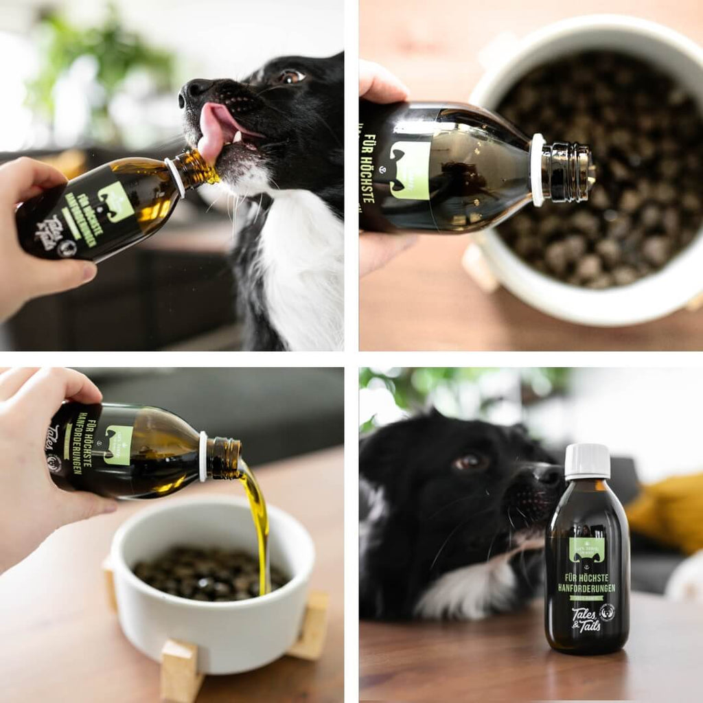 Tales & Tails - Für höchste Hanforderungen 250ml